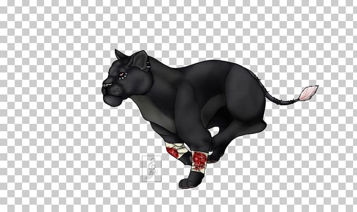 Puma Snout Black M Black Panther PNG, Clipart, Black, Black M, Black Panther, Carnivoran, Cat Free PNG Download