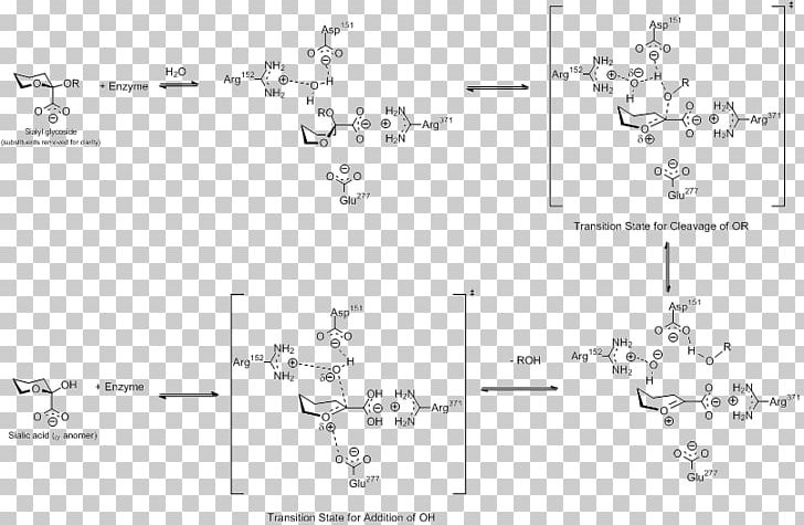 Viral Neuraminidase Neuraminidase Inhibitor Sialic Acid Influenza PNG, Clipart, Angle, Antigenic Drift, Area, Black And White, Diagram Free PNG Download