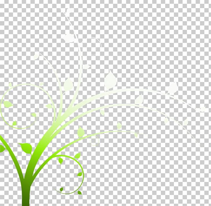 Area Angle Pattern PNG, Clipart, Angle, Area, Background Green, Botany, Christmas Tree Free PNG Download