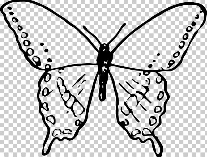 Drawing Painting PNG, Clipart, Animal, Arthropod, Black And White, Brush Footed Butterfly, Butterfly Free PNG Download