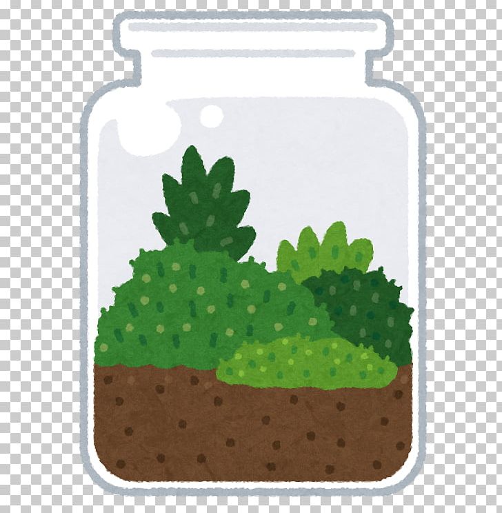 苔 Terrarium Bryophyte いらすとや PNG, Clipart, Aquariums, Bank, Bottle, Bryophyte, Card Loan Free PNG Download