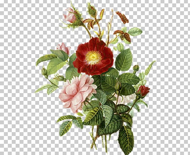 Flower Bouquet Drawing Floral Design PNG, Clipart, Branch, Cartoon, Composition Florale, Cut Flowers, Drawing Free PNG Download