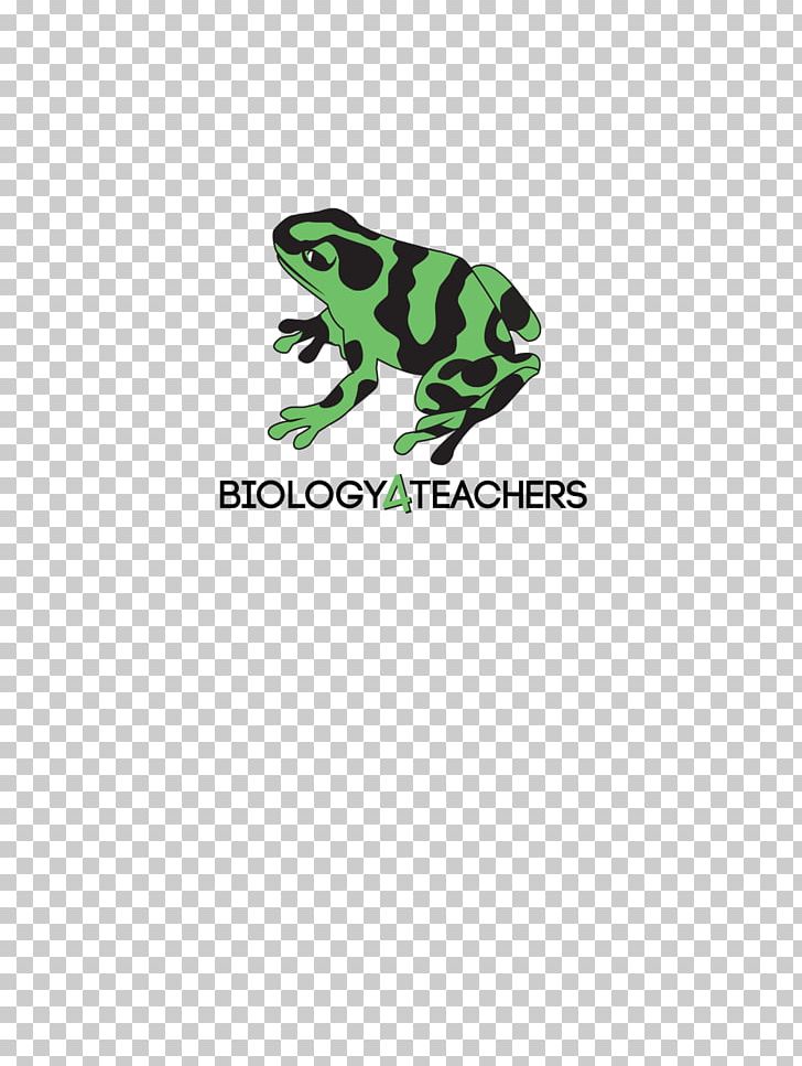 Toad Tree Frog Logo PNG, Clipart, Amphibian, Brand, Frog, Green, Logo Free PNG Download