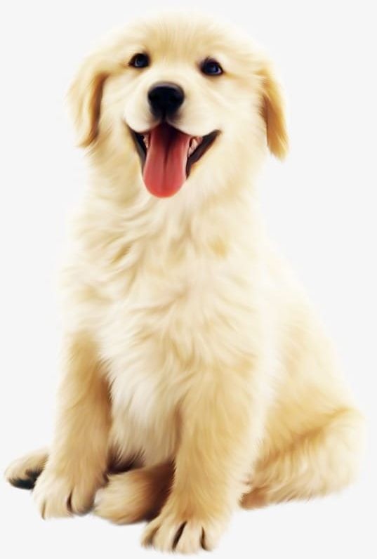 Cute Dog PNG, Clipart, Animal, Cute Clipart, Dog Clipart, Golden, Puppy Free PNG Download