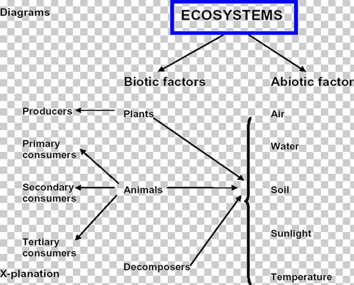 Ecosystem Ecology Document Decomposer Limiting Factor PNG, Clipart, Angle, Area, Decomposer, Definition, Diagram Free PNG Download