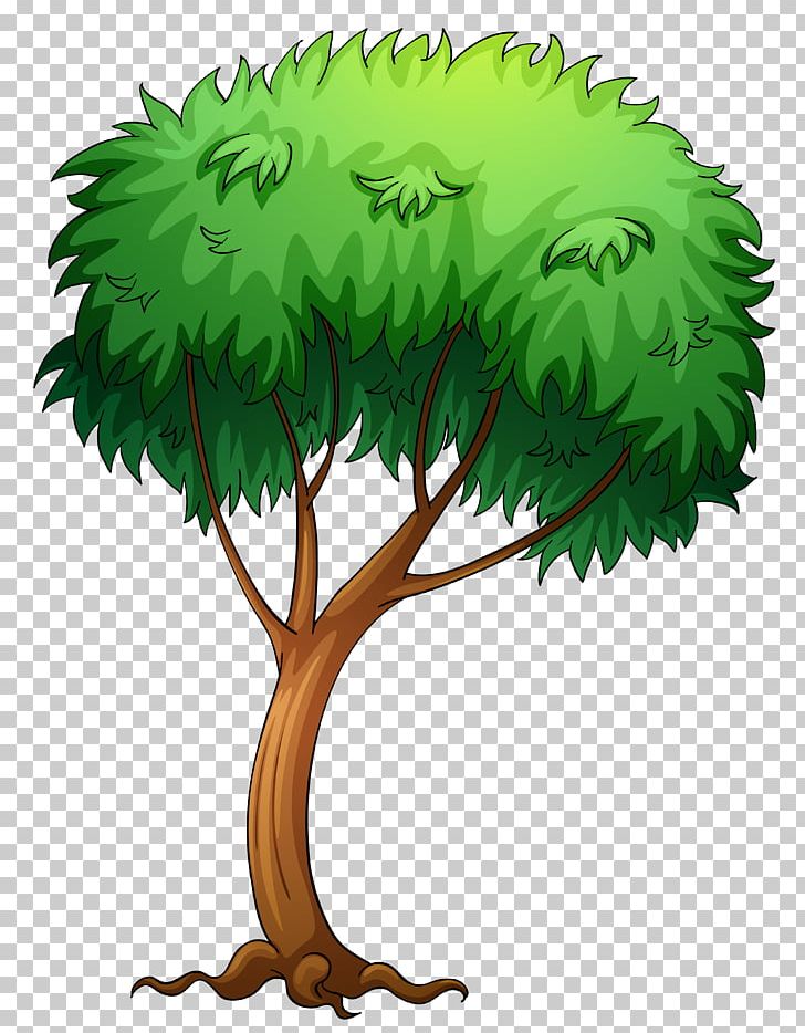 Tree PNG, Clipart, Arecaceae, Branch, Flowerpot, Free Content, Grass Free PNG Download
