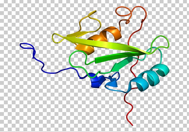 Body Jewellery PNG, Clipart, Area, Artwork, Body Jewellery, Body Jewelry, Guanine Nucleotide Exchange Factor Free PNG Download