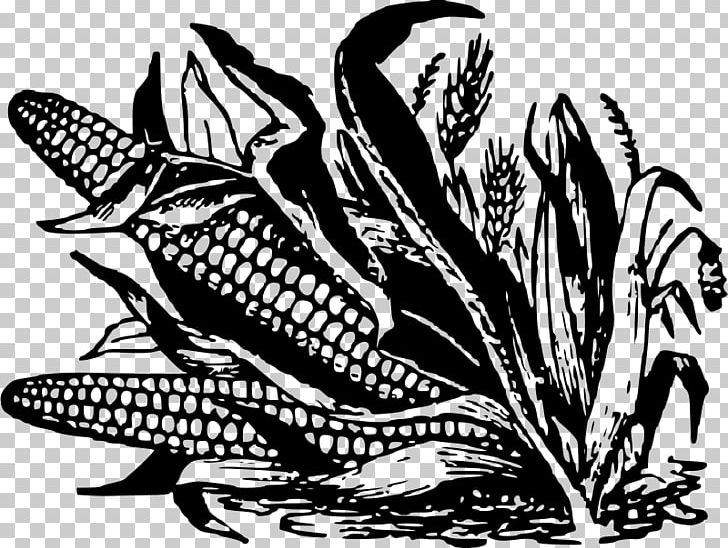 Corn On The Cob Black And White Corn Fritter Candy Corn Maize PNG, Clipart, Agriculture, Art, Black And White, Candy Corn, Corn Free PNG Download