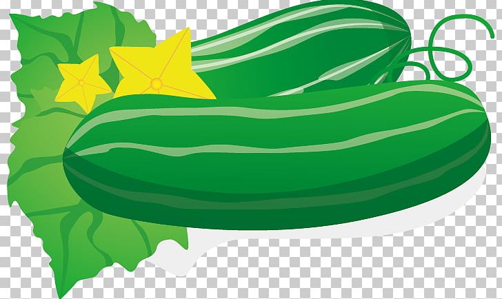 Cucumber PNG, Clipart, Adobe Illustrator, Cartoon, Cucumber, Cucumber Slices, Cucumber Vector Free PNG Download