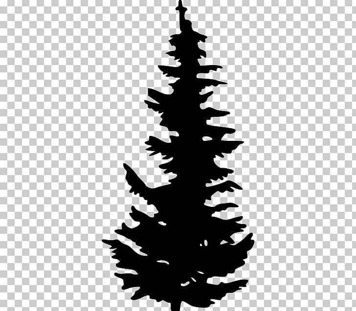 Evergreen Tree Pine PNG, Clipart, Black And White, Christmas Decoration, Christmas Ornament, Christmas Tree, Clip Art Free PNG Download