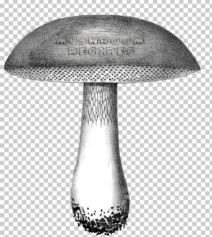 Mushroom Art PNG, Clipart, Art, Black And White, Bolete, Carbohydrates, Drawing Free PNG Download