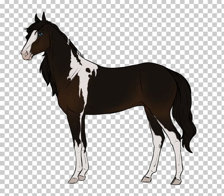 Mustang Foal Stallion Mare Colt PNG, Clipart,  Free PNG Download