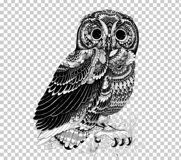 Owl Drawing Art Illustrator PNG, Clipart, Animals, Art, Art Museum, Beak, Bird Free PNG Download