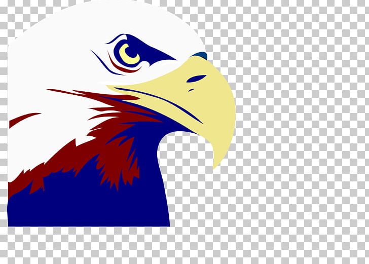 Bald Eagle Philippine Eagle Computer Icons PNG, Clipart, Accipitriformes, Animals, Bald Eagle, Beak, Bird Free PNG Download
