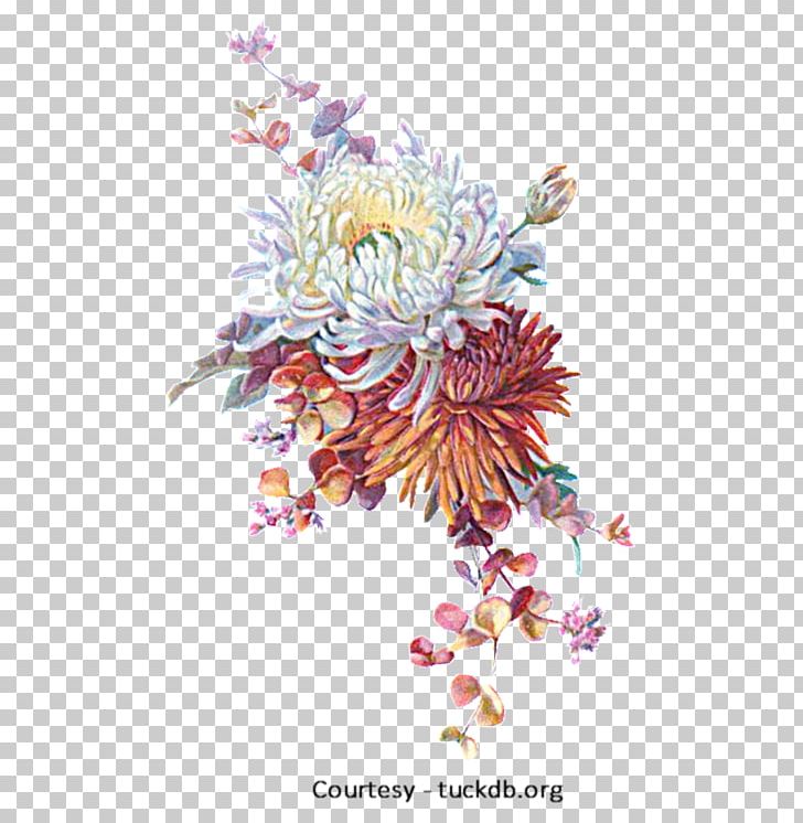 Floral Design Autumn Paper Flower Art PNG, Clipart, Art, Autumn, Chrysanths, Collage, Cut Flowers Free PNG Download