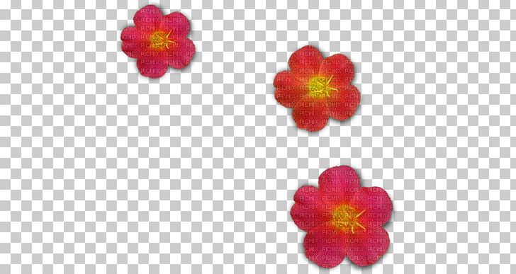 Mallows Magenta Family PNG, Clipart, Editing, Family, Flower, Flowering Plant, Glitter Free PNG Download