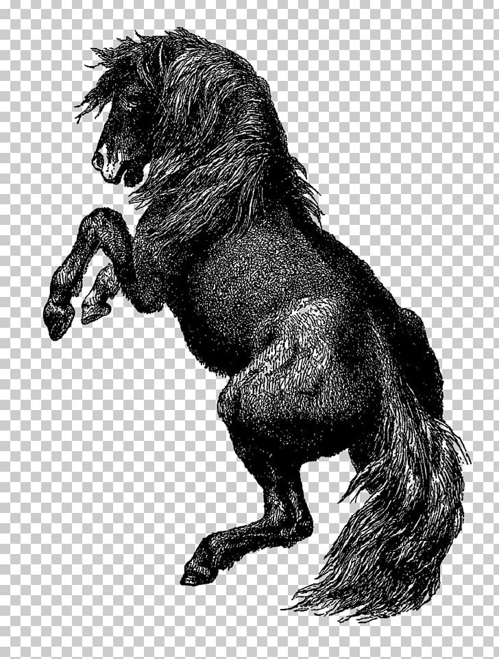 Mustang Stallion Gorilla Werewolf Canidae PNG, Clipart, Black And White, Canidae, Carnivoran, Dog, Dog Like Mammal Free PNG Download