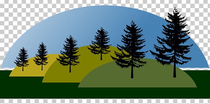 Nature Landscape Hill PNG, Clipart, Conifer, Evergreen, Fir, Grass, Hill Free PNG Download