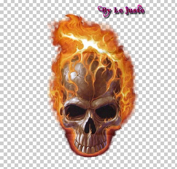 Skull And Crossbones Death Calavera PNG, Clipart, Bone, Calavera, Death, Information, Jaw Free PNG Download