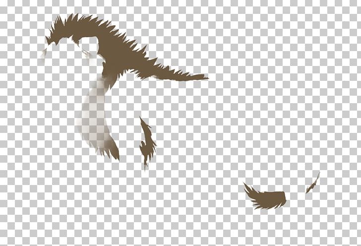 Bald Eagle Beak Feather Wildlife PNG, Clipart, Accipitriformes, Animals, Bald Eagle, Beak, Bird Free PNG Download