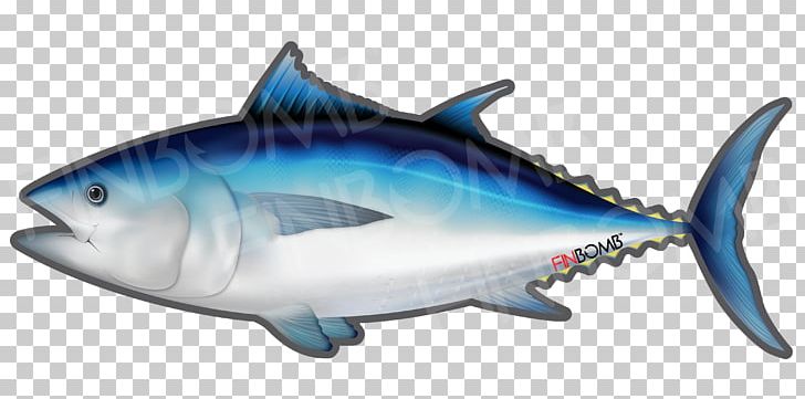 Thunnus Sushi Yellowfin Tuna Atlantic Bluefin Tuna Fish PNG, Clipart, Animal Figure, Bonito, Bony Fish, Bumper Sticker, Cartilaginous Fish Free PNG Download