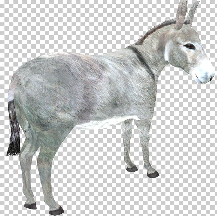 Zoo Tycoon 2 Horses Goat Donkey PNG, Clipart, Animal, Animals, Caprinae, Cattle, Cattle Like Mammal Free PNG Download
