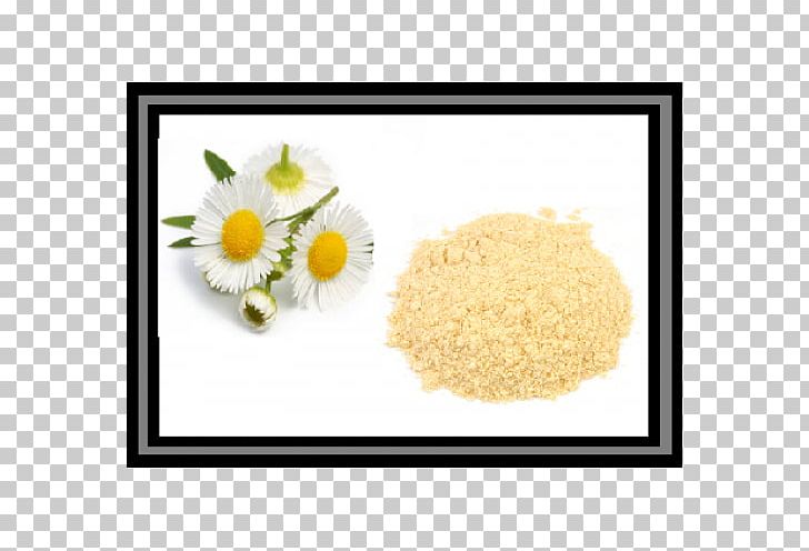 Chamomile Food Shampoo Herb Pancake PNG, Clipart, Antiaging Cream, Basmati, Chamomile, Commodity, Extract Free PNG Download