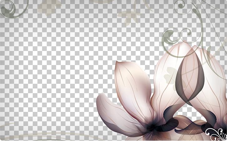 Flower Photography Desktop Petal PNG, Clipart, Background, Computer Wallpaper, Design Panels, Drawing, Elegant Free PNG Download