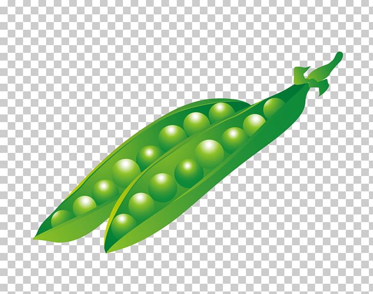 Pea Animation PNG, Clipart, Animation, Background Green, Download, Euclidean Vector, Fruit Free PNG Download