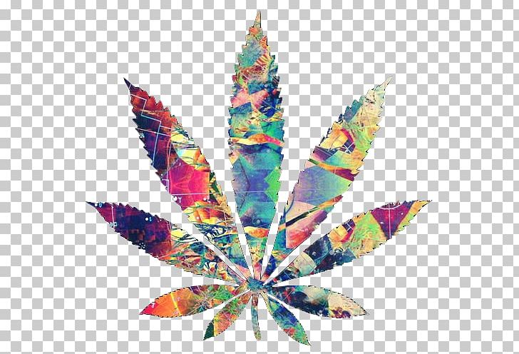 T-shirt Cannabis Smoking Cannabis Consumption Legalization PNG, Clipart, Blunt, Cannabis, Cannabis Consumption, Cannabis Shop, Cannabis Smoking Free PNG Download