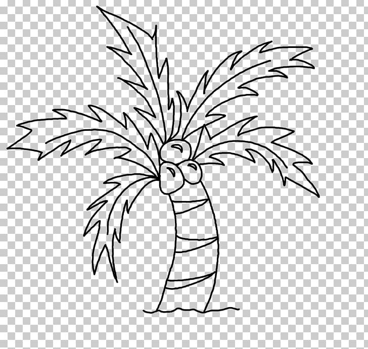 Drawing Coconut Art Sketch PNG, Clipart, Arecaceae, Art, Black And White, Branch, Coconut Free PNG Download
