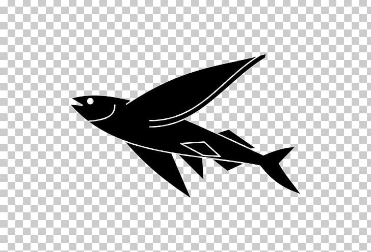 Flying Fish PNG, Clipart, Animals, Bird, Black And White, Computer Icons, Desktop Wallpaper Free PNG Download