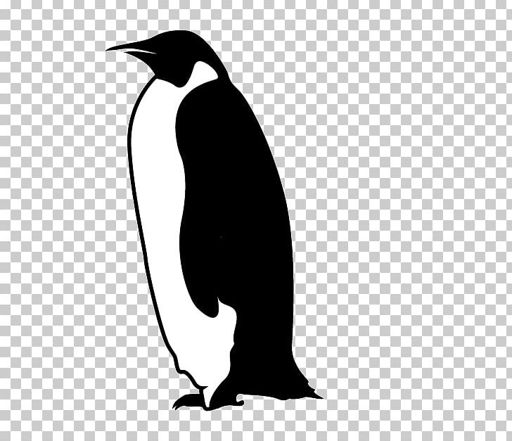 Penguin Bird PNG, Clipart, Animaatio, Animal, Artwork, Beak, Bird Free PNG Download