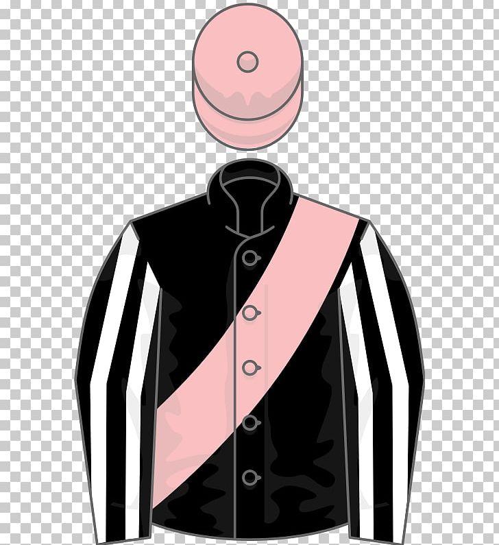 Thoroughbred Man O' War Horse Racing Jockey PNG, Clipart, American Horse Of The Year, Formal Wear, Gentleman, Grand National, Hopeful Stakes Free PNG Download
