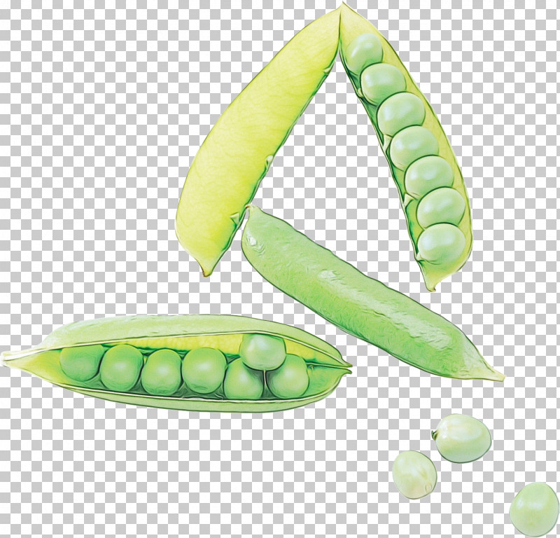 Pea Vegetable Plant Legume Lima Bean PNG, Clipart, Biology, Commodity, Fruit, Legume, Lima Bean Free PNG Download