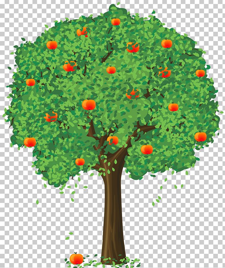 Fruit Loose And Fancy Tree Tangerine Lemon PNG, Clipart, Apple Tree, Art, Branch, Cartoon, Clipart Free PNG Download