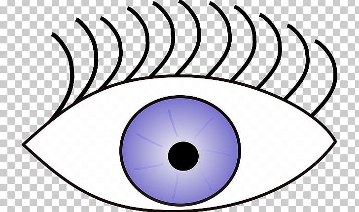 Googly Eyes PNG, Clipart, Area, Circle, Desktop Wallpaper, Eye, Eyebrow Free PNG Download