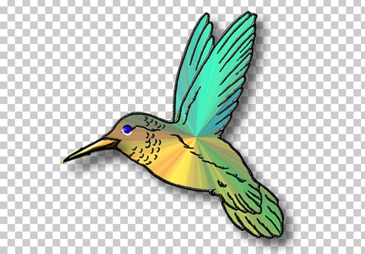 Hummingbird Free Content PNG, Clipart, Beak, Bird, Blog, Coraciiformes, Desktop Wallpaper Free PNG Download