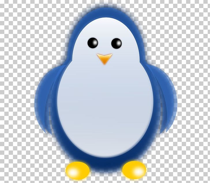 Little Penguin Bird PNG, Clipart, Beak, Bird, Computer Wallpaper, Cute Penguin, Drawing Free PNG Download