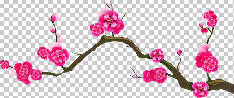 Cherry Blossom PNG, Clipart, Blossom, Branch, Cherry Blossom, Flower, Moth Orchid Free PNG Download