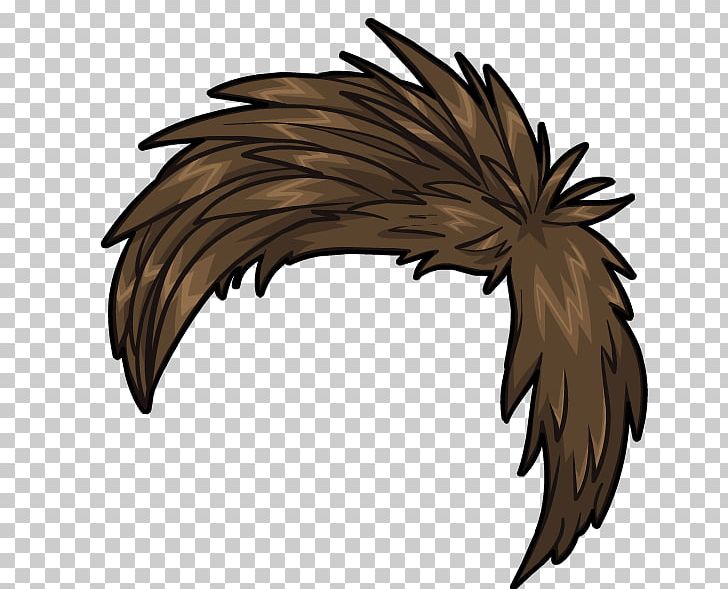Club Penguin Hair Wig Feather PNG, Clipart, Animaatio, Animals, Beak, Bird, Bird Of Prey Free PNG Download