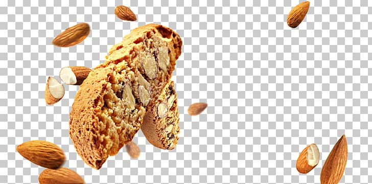 Nut Biscotti Cheesecake Gluten-free Diet PNG, Clipart, Almond, Almondy Ab, Biscotti, Biscuit, Biscuits Free PNG Download