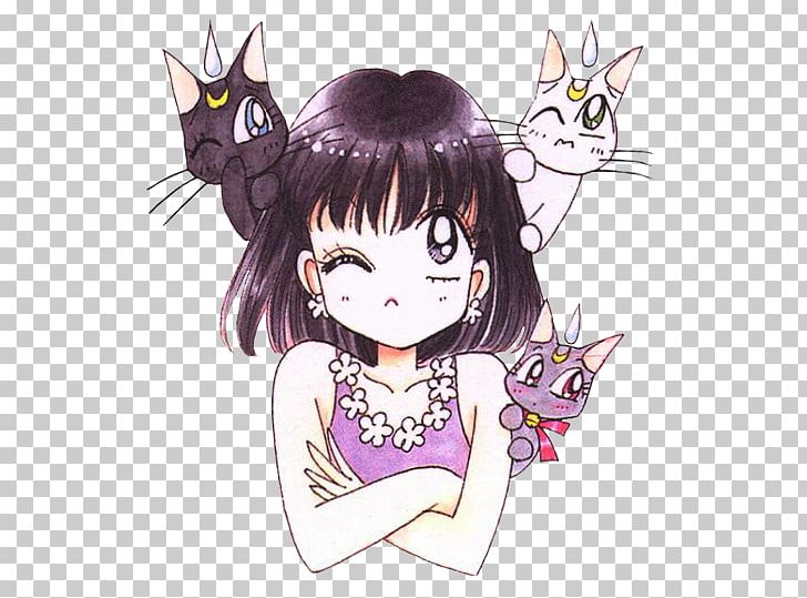 Sailor Saturn Luna Sailor Moon Chibiusa Sailor Pluto PNG, Clipart, Black Hair, Carnivoran, Cartoon, Cat Like Mammal, Fictional Character Free PNG Download