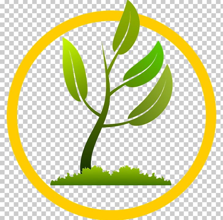 Tree Planting Leaf PNG, Clipart, Area, Artwork, Branch, Circle, Grass Free PNG Download