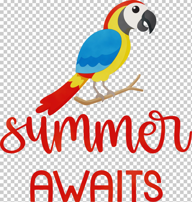 Macaw Beak Parakeet Line Meter PNG, Clipart, Animal Figurine, Beak, Biology, Geometry, Line Free PNG Download
