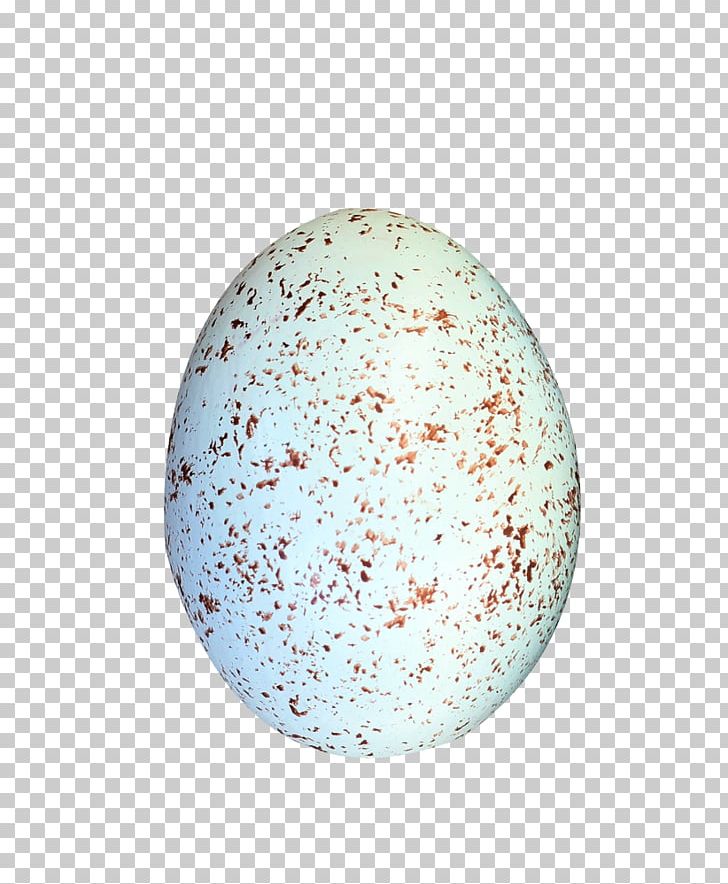 Bird Eggs PNG, Clipart, Adobe Illustrator, Bird Eggs, Broken Egg, Circle, Creative Free PNG Download