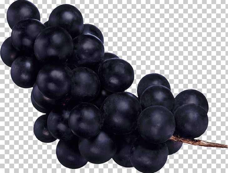Common Grape Vine Fruit PNG, Clipart, Bilberry, Blueberry, Common Grape Vine, Concord Grape, Download Free PNG Download