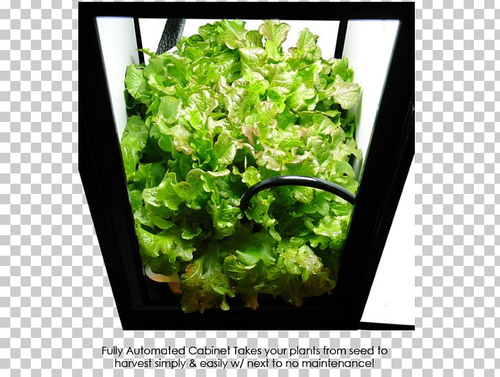 Grow Box Growroom Hydroponics Grow Light Light-emitting Diode PNG, Clipart, Cannabis Cultivation, Closet, Compact Fluorescent Lamp, Deep Water Culture, Flowerpot Free PNG Download