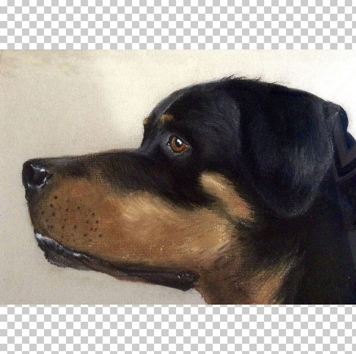 Rottweiler Austrian Black And Tan Hound Huntaway Puppy Dog Breed PNG, Clipart, Animals, Austrian Black And Tan Hound, Black And Tan Coonhound, Breed, Carnivoran Free PNG Download