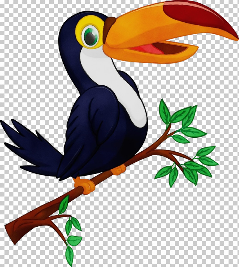 Bird Toucan Beak Hornbill Piciformes PNG, Clipart, Beak, Bird, Coraciiformes, Hornbill, Paint Free PNG Download